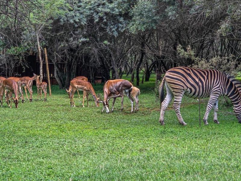 5 Bedroom Property for Sale in Kshane North West